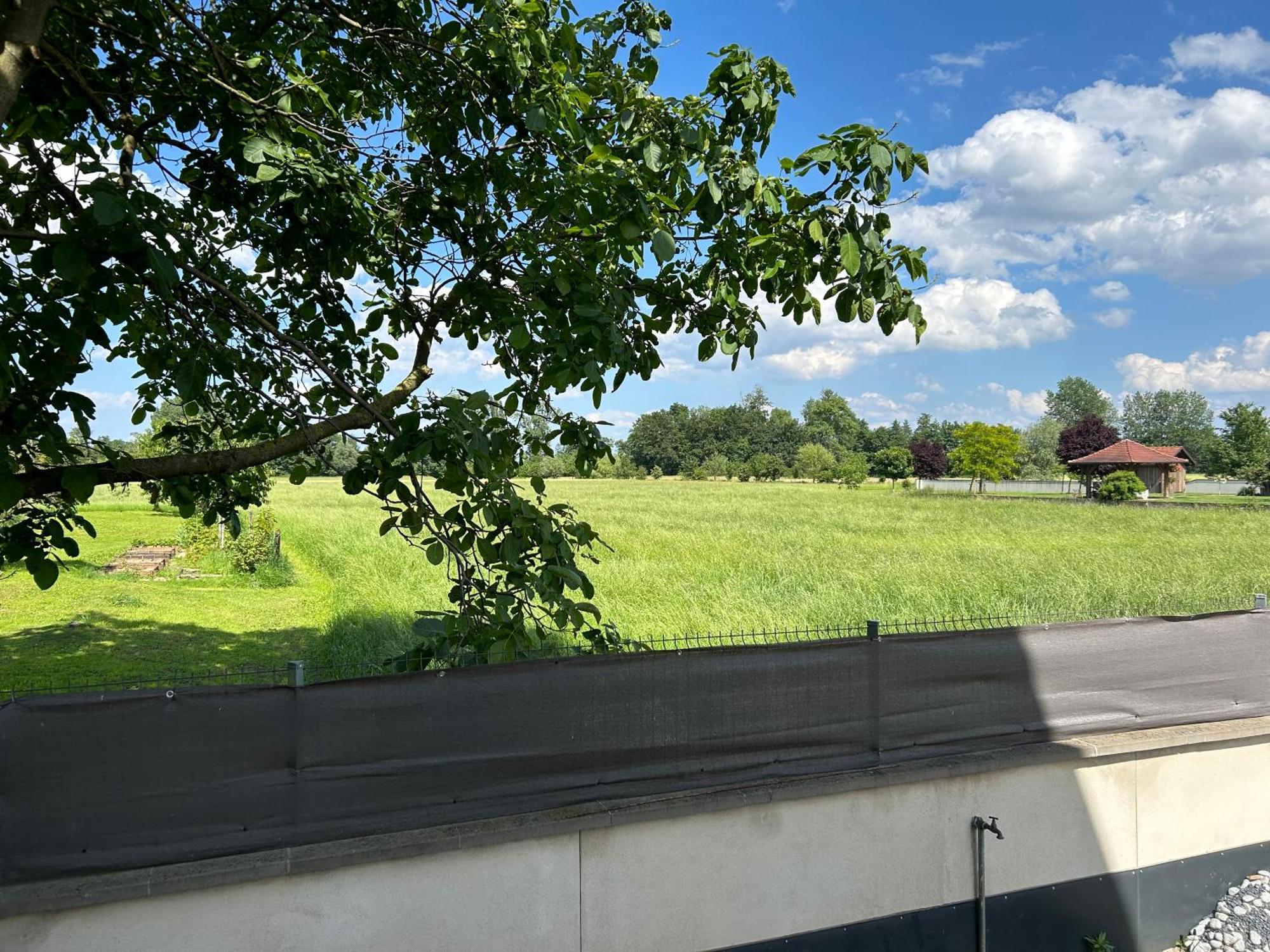 Charmant Studio Avec Terrasse Ebersheim ภายนอก รูปภาพ